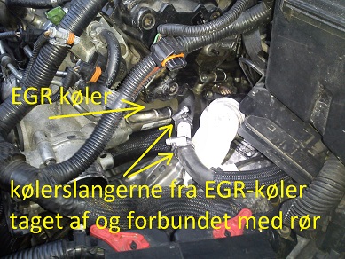 Billede